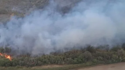 Огонь над камышами: в Илийском лесничестве локализован масштабный пожар