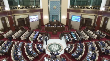 Мәжіліс фонограммаға тыйым туралы заңды мақұлдады