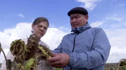 В Павлодарской области в пользу государства изъяли свыше 940 тысяч гектаров бесхозных земель