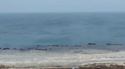 Научно-исследовательский институт Каспийского моря создан в Актау