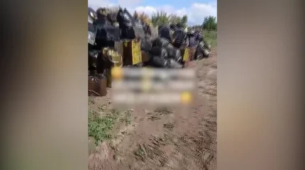 Тонны медицинских отходов обнаружили на открытой свалке в Павлодаре