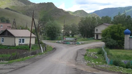 Гибель скота в селе ВКО: специалисты проводят проверку