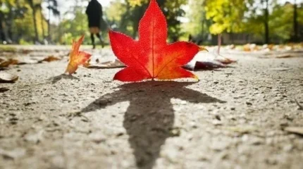 Ветрено в Шымкенте, жарко в Астане: погода в мегаполисах в пятницу, 26 сентября