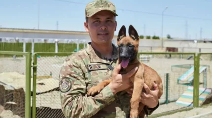 Ұлттық ұланның кинологиялық орталығында алғаш рет голландиялық овчаркалар дүниеге келді