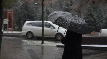 Күн суытады: жаңбыр соңы қарға ұласуы мүмкін