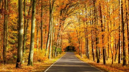 Прогноз погоды на 28 сентября 2025 года