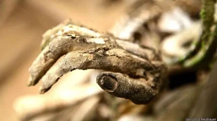 Человеческий скелет найден в реке Карагандинской области