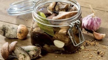 Супружеская пара насмерть отравилась грибами собственного приготовления