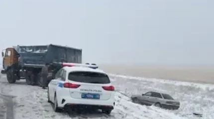 Снежный форс-мажор: в Костанайской области из кюветов извлекли 9 авто, в городе — упавшие деревья повредили машины