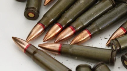 Аршалы ауданынан қару-жарақ және түрлі калибрлі оқ-дәрілер анықталды