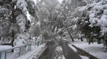 Қостанайда қар жауды