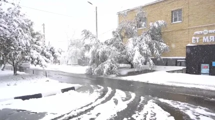 Снег выпал в Костанайской области