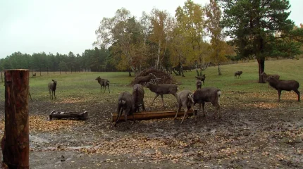 Более миллиона отдыхающих посетили Бурабайский район с начала года
