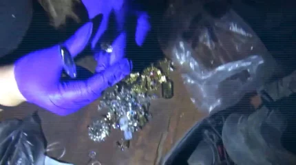 Полиция бетперде тағып, үй тонағандарды ұстады