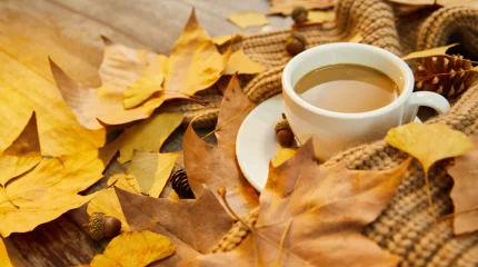 Прогноз погоды на 1 октября 2025