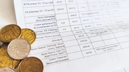 «Неғұрлым көп тұтынған соғұрлым көп төлейді» – Тоқаев әділетті тарифтер туралы айтты