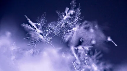 Прогноз погоды в Казахстане на 6 января 2026 года