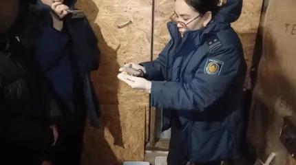 Ақмола облысының тұрғынынан 280 түйіншек мефедрон тәркіленді