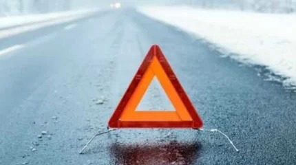 Алматыда жол апатынан үндістандық студенттер қаза тапты