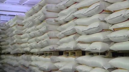 Қостанайда жұмысшы бір тонна ұнның астында қалған