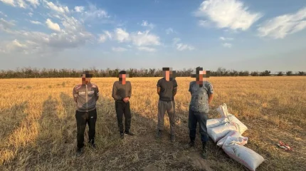 В Жамбылской области транспортная полиция пресекла крупный канал наркотрафика