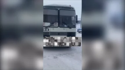 Ақтөбеде мектеп автобусы жалған нөмірмен жүріп, бала тасыған