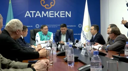 Павлодарда диқандар сәбіз өнімін сата алмай отыр