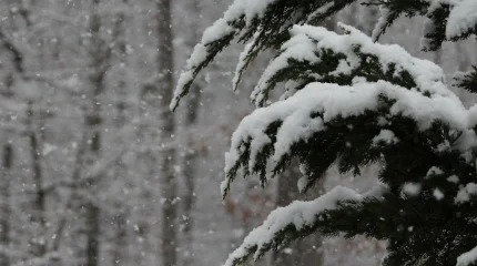 Бүгін бірнеше өңірде дауыл соғады