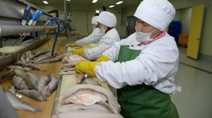 60 мың тоннаға жуық дайын балық өнімі өндірілді