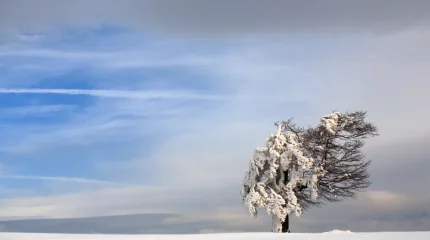 МЧС предупреждает о сильном ветре
