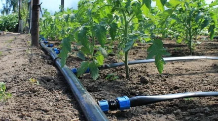 Тұтынушылардың құқығын бұзған суару суын жеткізушілерге 17,8 млн теңге айыппұл салынды