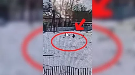 Абай облысында учаскелік полицей камераның көмегімен жоғалған баланы іздеп тапты