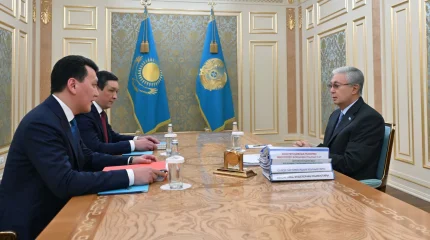 Президент ознакомился с предложениями казахстанцев по конституционной реформе