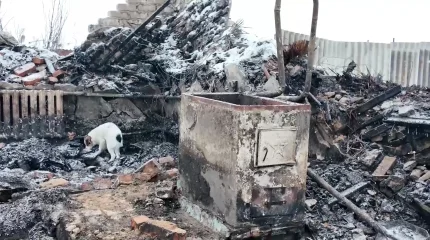 Қызылжарда әкесі екі баласымен отқа оранды