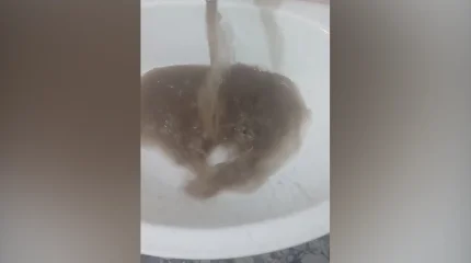 Алматы қаласындағы Зерделі ықшам ауданында тұрғындар судың сапасына шағымданды