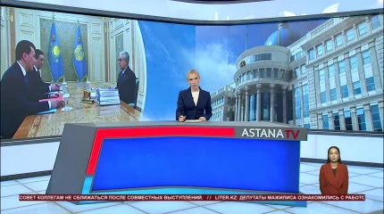 Глава государства ознакомился с поступающими предложениями по конституционной реформе