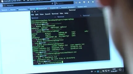 Принят Цифровой кодекс: новые стандарты защиты данных