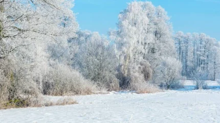 Астанада қақаған аяз, Алматыда қарлы боран күтіледі