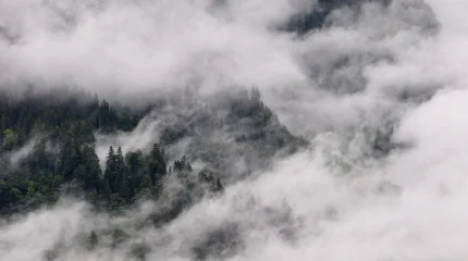 Переохлажденный туман парализовал вылеты Airbus из Алматы