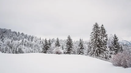 Морозы и туман: прогноз погоды на 15 января 2026 года в Казахстане