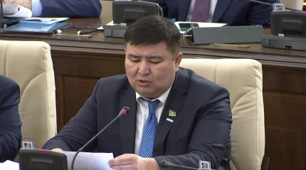 "Сатылатын абырой, киноматографиядағы мафия", -  депутаттар өзекті мәселелерді көтерді