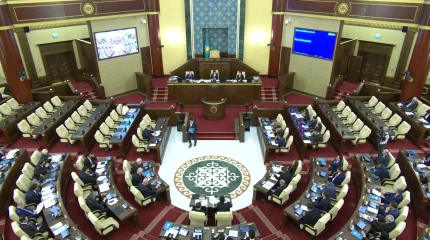 Ограничения на алкоголь и контроль за «умными» устройствами обсудили в Мажилисе