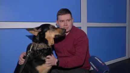 Собаке заменили тазобедренный сустав: впервые в Казахстане ветеринары провели уникальную операцию животному