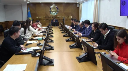 Около 2 млн. индивидуальных предпринимателей рискуют остаться на общем налоговом режиме - КГД