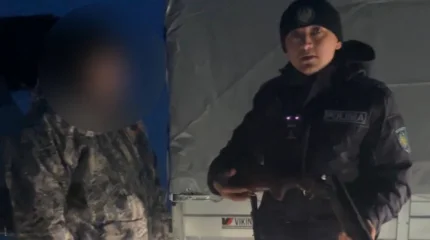 Охота на волка: полиция оштрафовала жителя Алматинской области