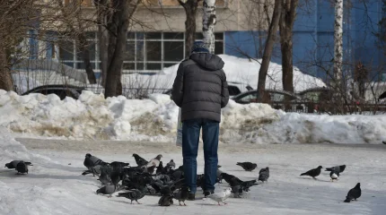 "Көшедегі құстарды, қаңғыбас ит пен мысықты тамақтандырғандар айыппұл төлейді" - фейк