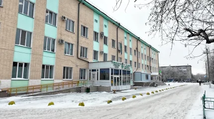 Қызылжарда зейнеткер қақаған аязда ауруханаға жетпей үсіп қалған