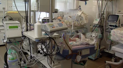 Ай сайын 100-ден астам әйел суррогат ана болуға келіседі