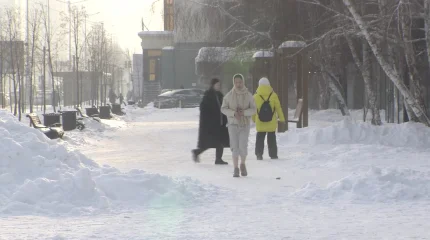 Штрафы за кормление животных: в СЦК опровергли фейки из соцсетей