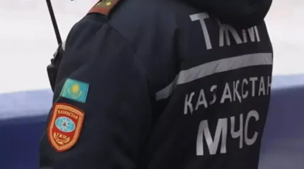 Шетел азаматтары мінген автобус жолаушылары эвакуацияланды